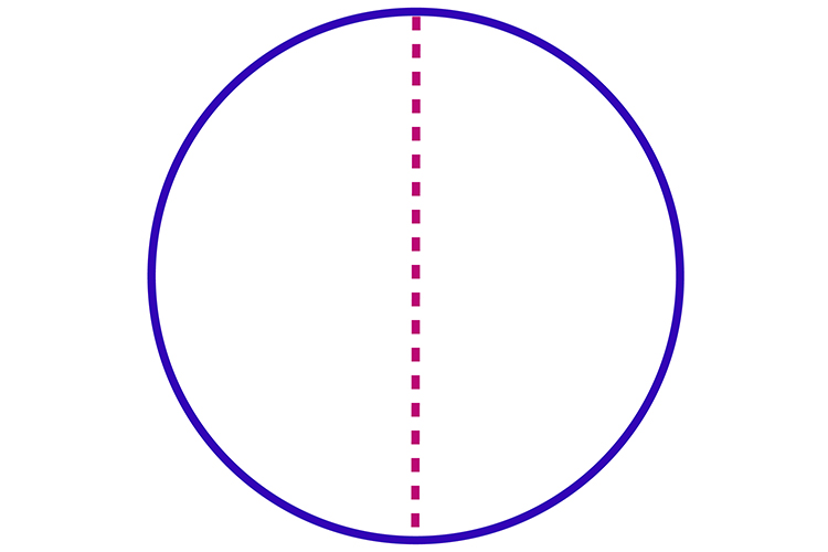 Any line that runs through a circle exactly half way is symmetrical to the other side